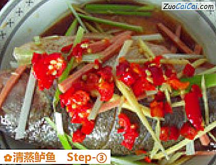 清蒸鲈鱼做法第三步骤
