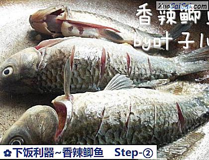 下饭利器~香辣鲫鱼做法第二步骤