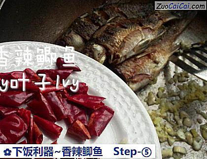 下饭利器~香辣鲫鱼做法第五步骤