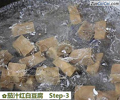 茄汁红白豆腐做法第三步骤
