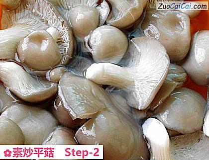素炒平菇做法第二步骤