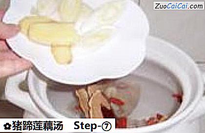 猪蹄莲藕汤做法第七步骤