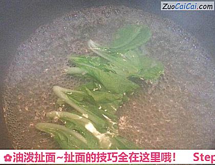 油泼扯面~扯面的技巧全在这里哦!做法第九步骤