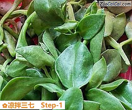 凉拌三七做法第一步骤