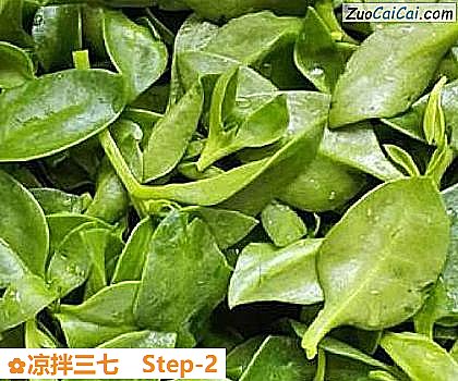 凉拌三七做法第二步骤