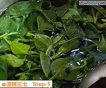 凉拌三七做法第五步骤