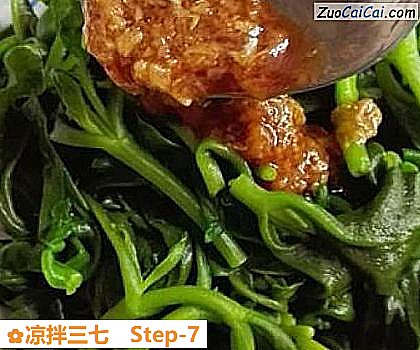 凉拌三七做法第七步骤