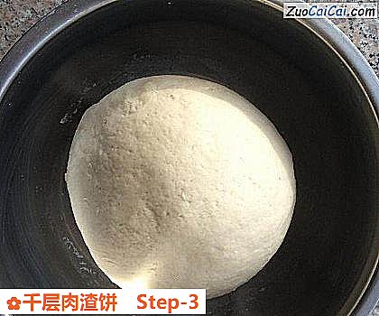 千层肉渣饼做法第三步骤