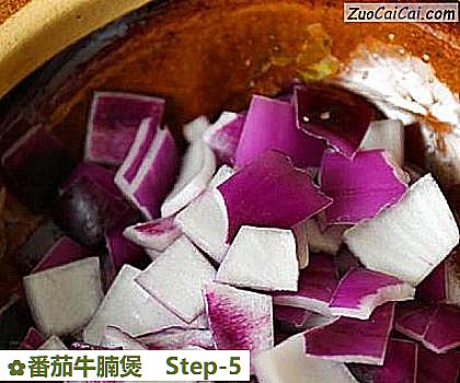 番茄牛腩煲做法第五步骤