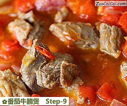 番茄牛腩煲做法第九步骤