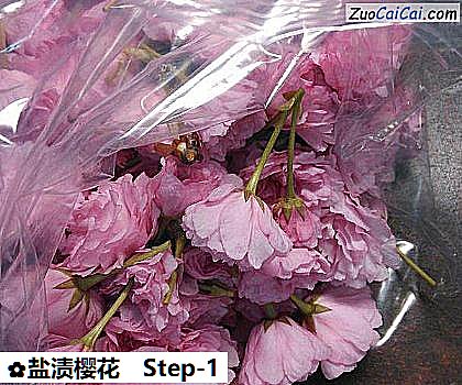 盐渍樱花做法第一步骤