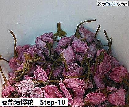 盐渍樱花做法第十步骤