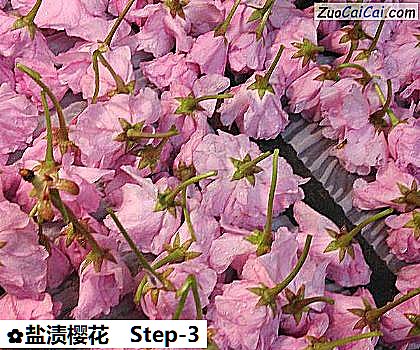 盐渍樱花做法第三步骤