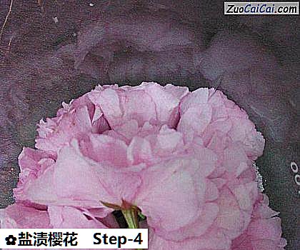 盐渍樱花做法第四步骤
