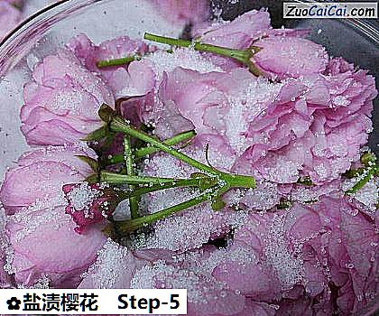 盐渍樱花做法第五步骤