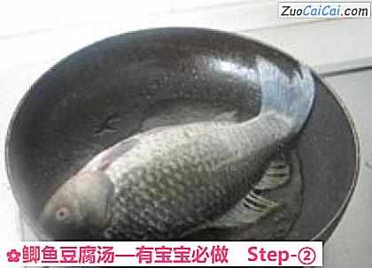 鲫鱼豆腐汤做法第二步骤