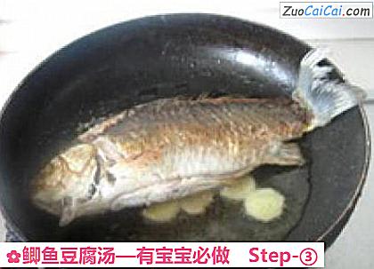 鲫鱼豆腐汤做法第三步骤
