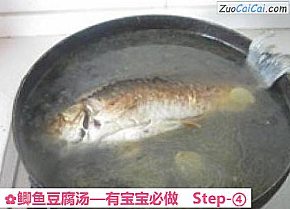 鲫鱼豆腐汤做法第四步骤