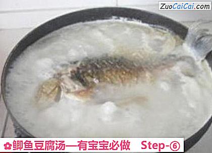 鲫鱼豆腐汤做法第六步骤