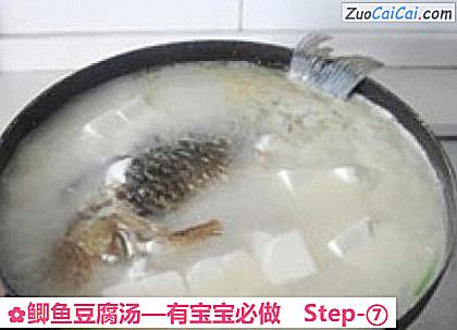 鲫鱼豆腐汤做法第七步骤