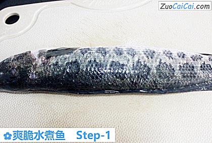 爽脆水煮鱼做法第一步骤