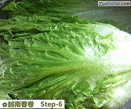 越南春卷做法第六步骤