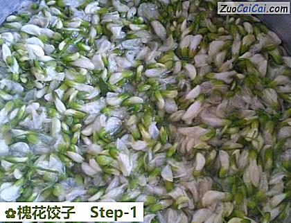 槐花饺子做法第一步骤
