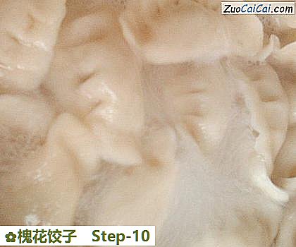 槐花饺子做法第十步骤