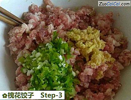 槐花饺子做法第三步骤
