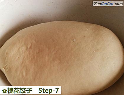 槐花饺子做法第七步骤