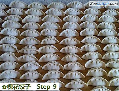 槐花饺子做法第九步骤