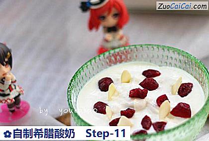 自制希腊酸奶做法第十一步骤