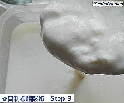 自制希腊酸奶做法第三步骤