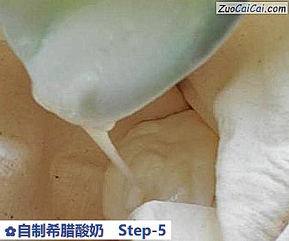 自制希腊酸奶做法第五步骤