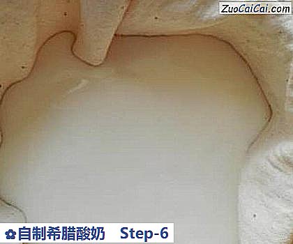 自制希腊酸奶做法第六步骤