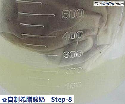 自制希腊酸奶做法第八步骤