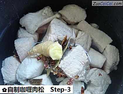 自制咖喱肉松做法第三步骤