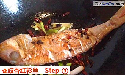 豉香红衫鱼做法第三步骤