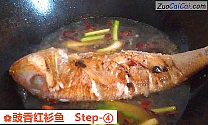 豉香红衫鱼做法第四步骤