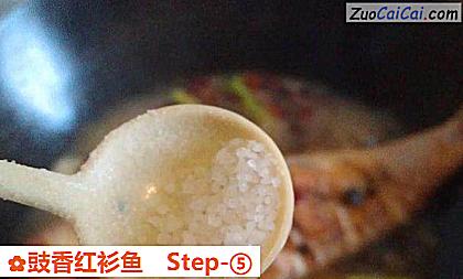 豉香红衫鱼做法第五步骤