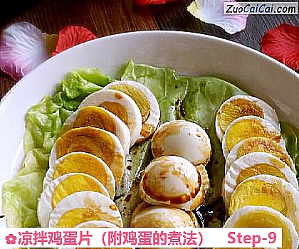 凉拌鸡蛋片做法第九步骤