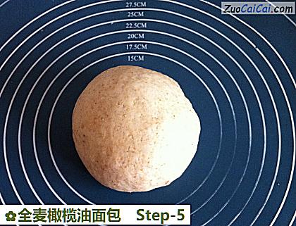 全麦橄榄油面包做法第五步骤