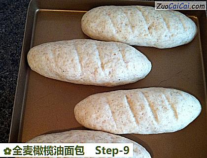 全麦橄榄油面包做法第九步骤