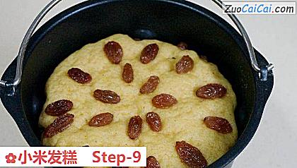 小米发糕做法第九步骤