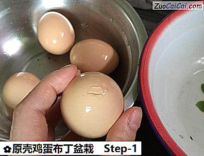 原壳鸡蛋布丁盆栽做法第一步骤