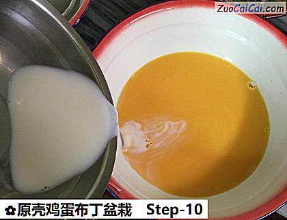 原壳鸡蛋布丁盆栽做法第十步骤