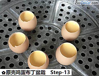 原壳鸡蛋布丁盆栽做法第十三步骤