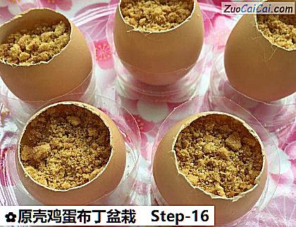 原壳鸡蛋布丁盆栽做法第十六步骤