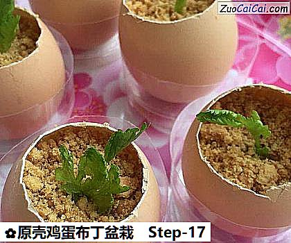 原壳鸡蛋布丁盆栽做法第十七步骤