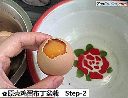 原壳鸡蛋布丁盆栽做法第二步骤